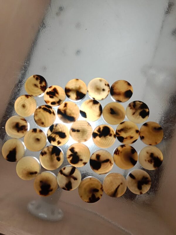 Cow Horn Button Blank Col.09A