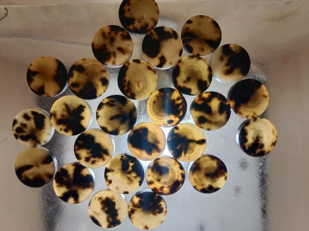 Cow horn button blank col.9B